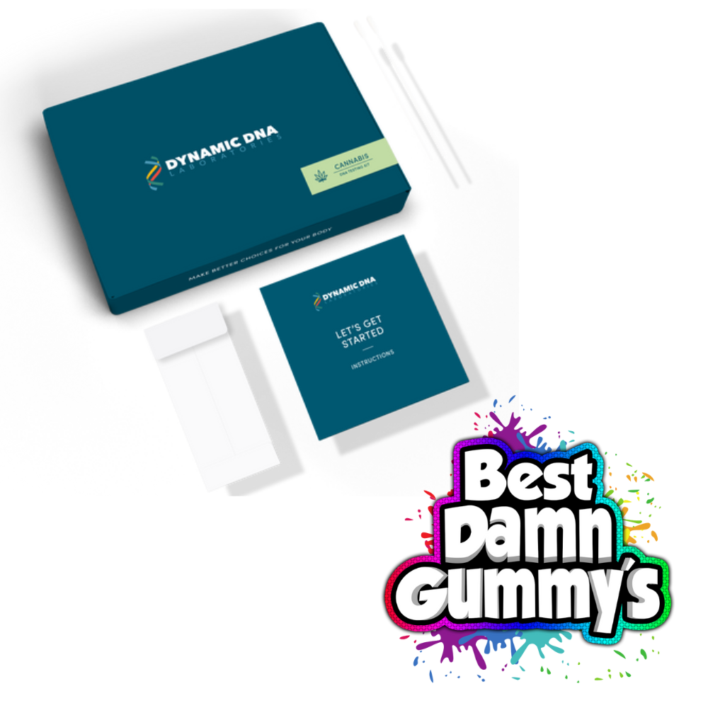 Cannabis DNA Test - Best Damn Gummy's - Retail
